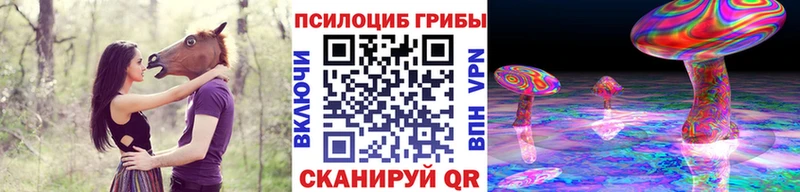 hydra как войти  Истра  Псилоцибиновые грибы мицелий 