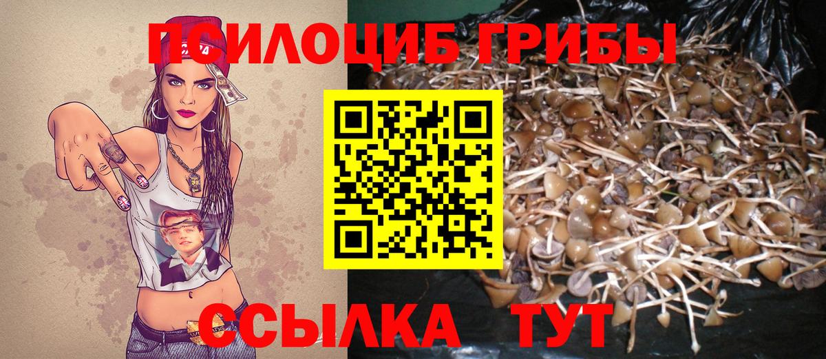 Псилоцибиновые грибы Magic Shrooms Истра
