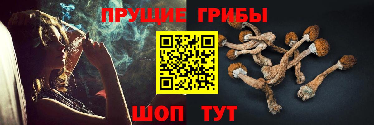 закладки  Псилоцибиновые грибы Cubensis  Псилоцибиновые грибы MAGIC MUSHROOMS  Вход с VPN  Истра 