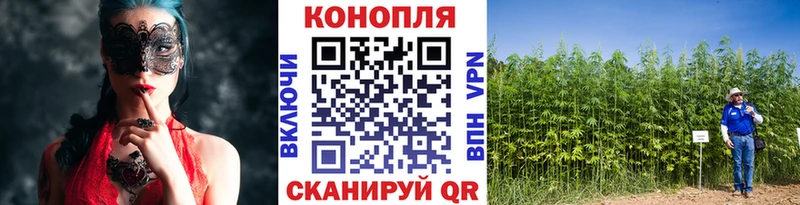 MEGA ONION  Истра  Каннабис MAZAR 